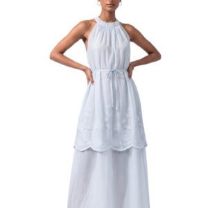 Powder Blue Bloom Embroidered Maxi Dress